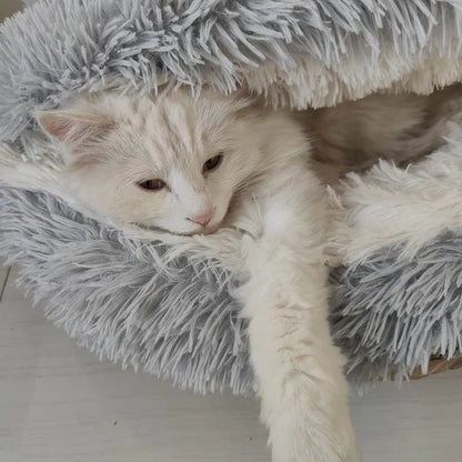 CalmyCat®