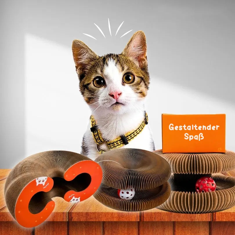 KittyFun®