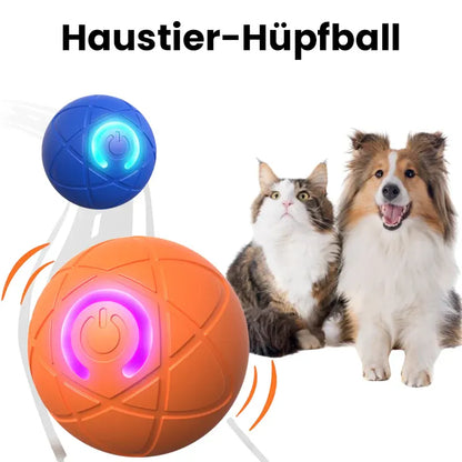 Haustier-Hüpfball für Katzen🐱 & Hunde🐶