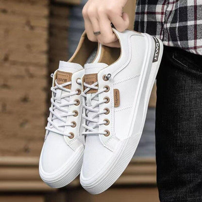 TopLevi® - Komfort und Stil
