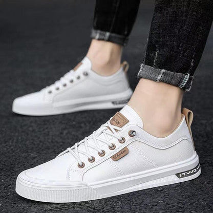 TopLevi® - Komfort und Stil