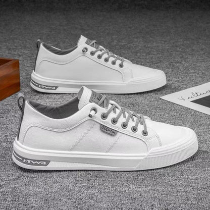 TopLevi® - Komfort und Stil